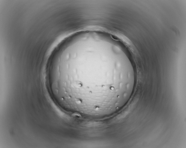 X0000114031430200910161810