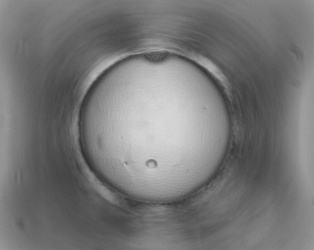 X0000114031431200910161810