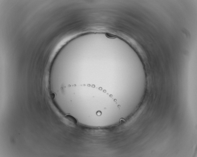 X0000114031432200910161810