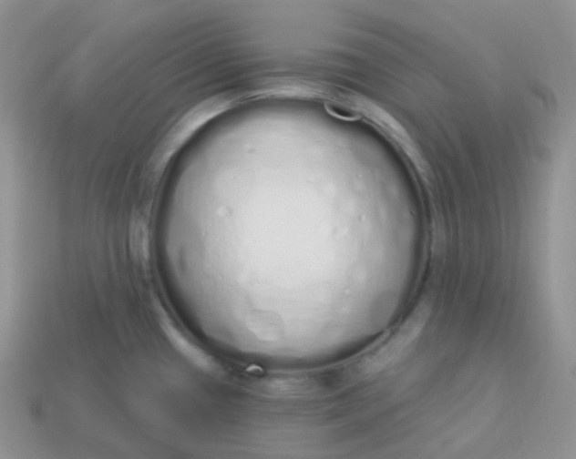 X0000114031433200910161810