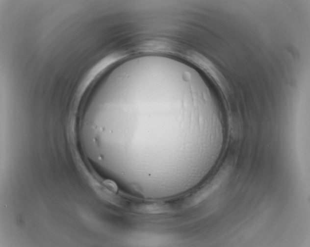 X0000114031434200910161810