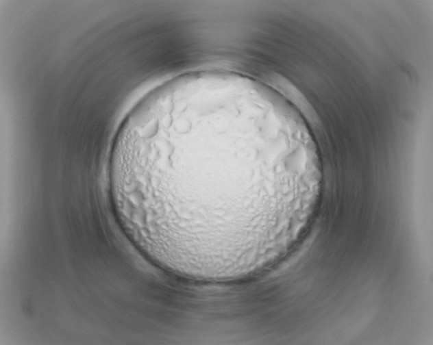 X0000114031436200910161810