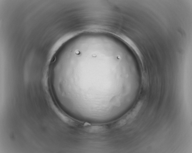 X0000114031437200910161810