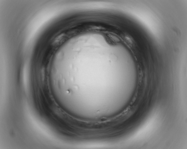 X0000114031439200910161810