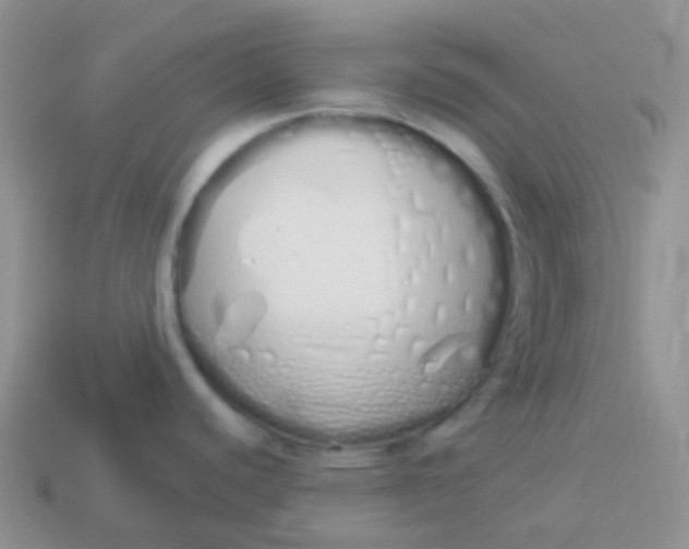 X0000114031440200910161810