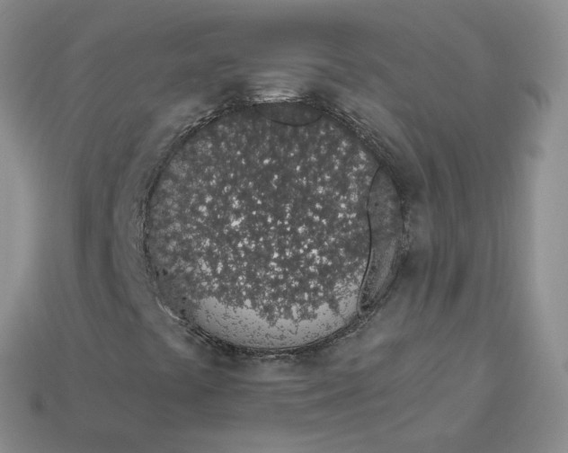 X0000114031441200910161809