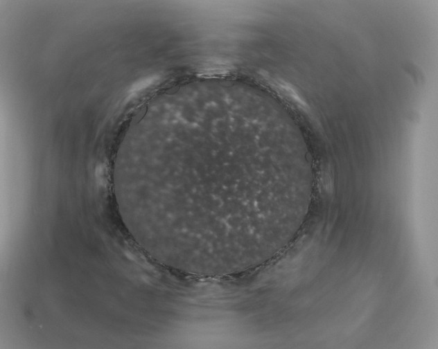 X0000114031445200910161809