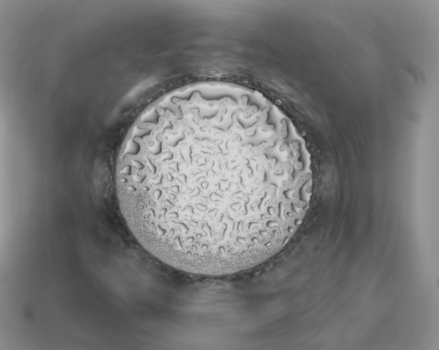 X0000114031446200910161809