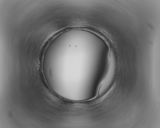 X0000114031449200910161809