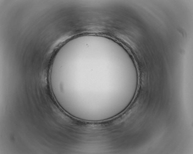 X0000114031451200910161809