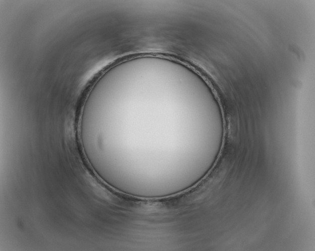 X0000114031452200910161809