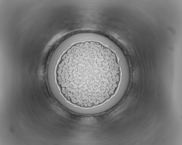 X0000114031454200910161809