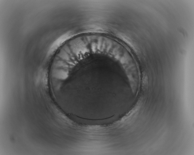 X0000114031455200910161809