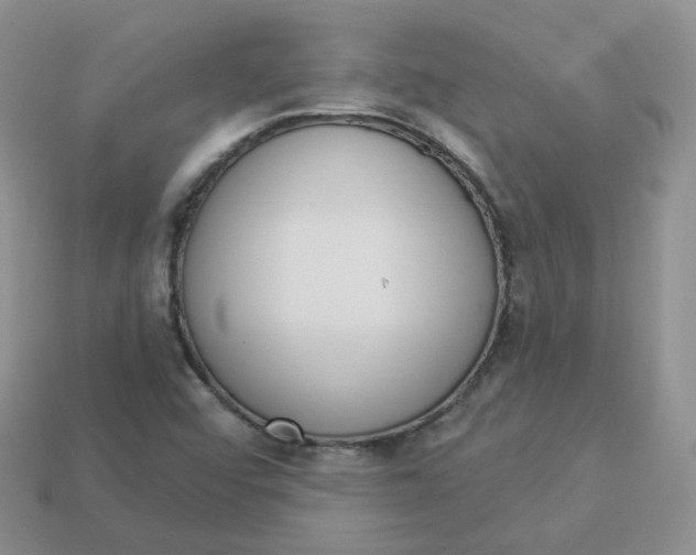 X0000114031456200910161809