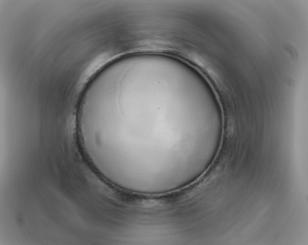 X0000114031459200910161809