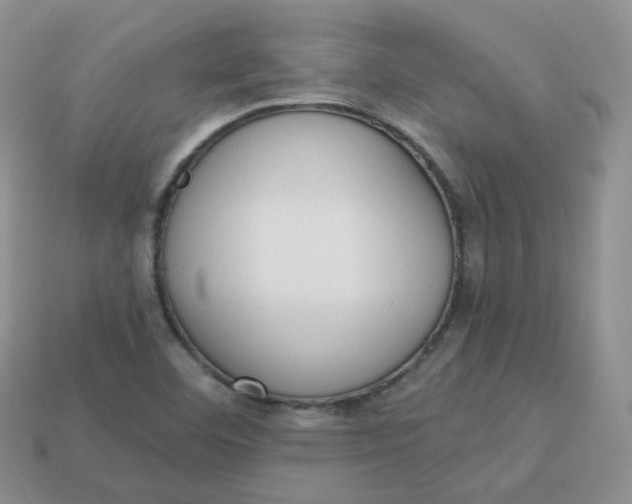 X0000114031460200910161809