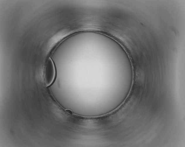 X0000114031461200910161809