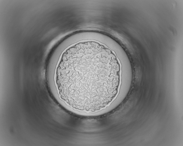 X0000114031462200910161809