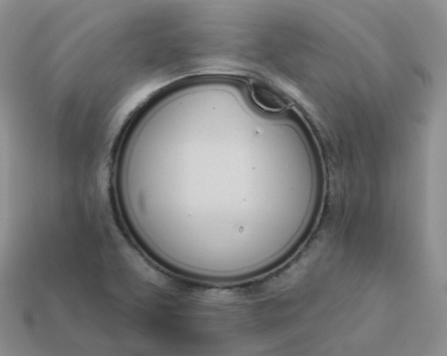 X0000114031463200910161809