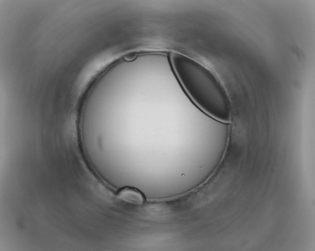 X0000114031464200910161809