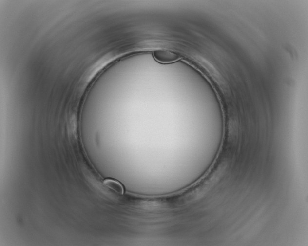 X0000114031465200910161809