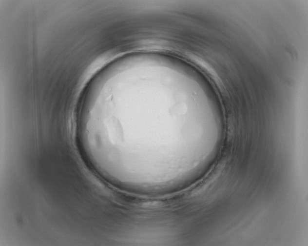 X0000114031467200910161809