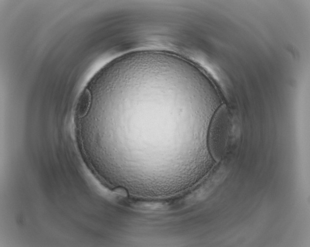 X0000114031468200910161809