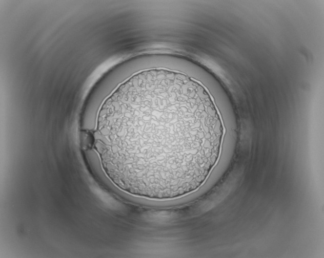 X0000114031474200910161808