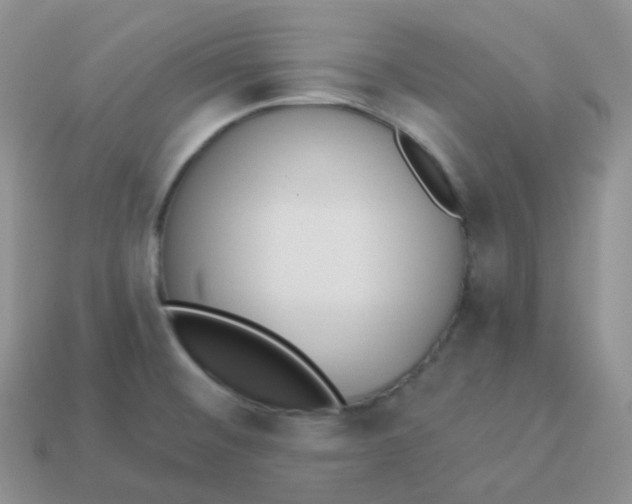 X0000114031476200910161808