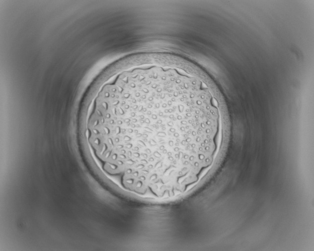 X0000114031478200910161808