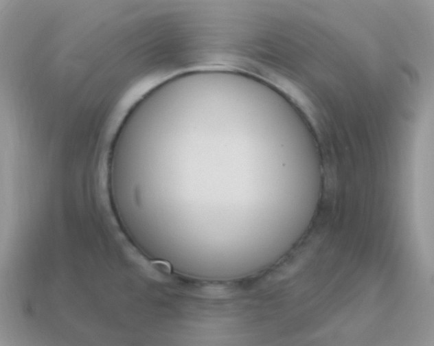 X0000114031480200910161808