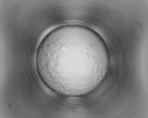 X0000114031482200910161808