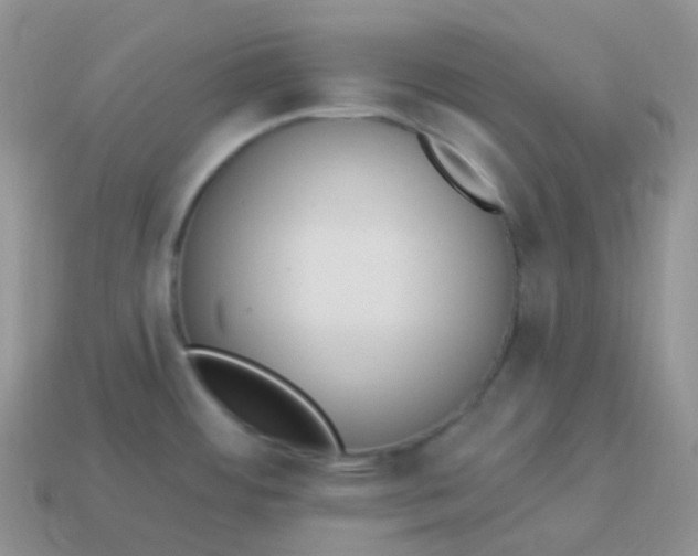 X0000114031484200910161808