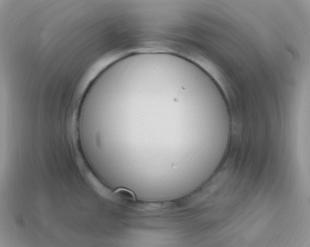 X0000114031485200910161808