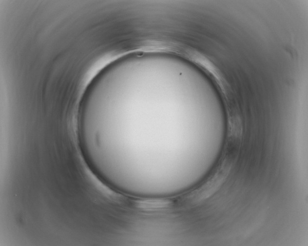 X0000114031487200910161808