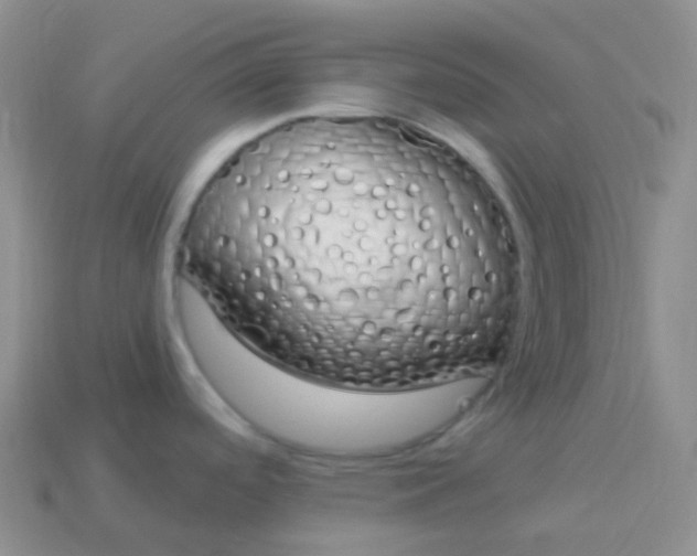 X0000114031488200910161808