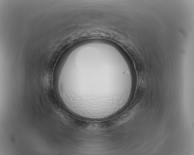 X0000114031490200910161808