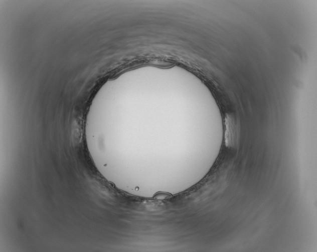 X0000114031491200910161808