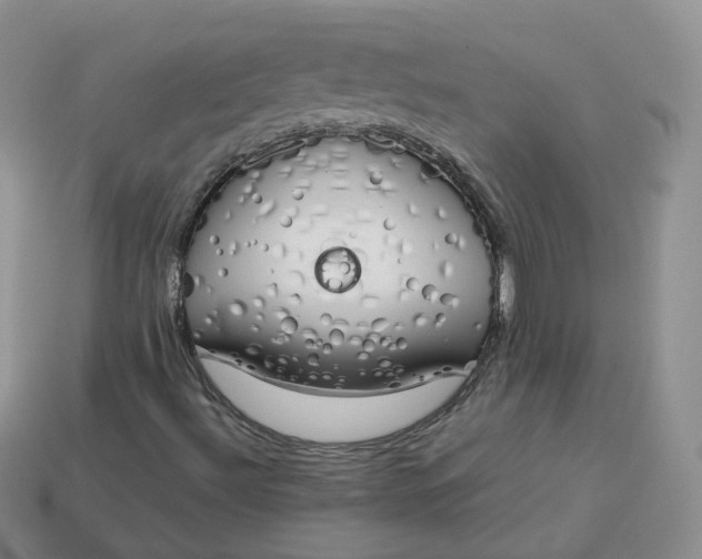 X0000114031492200910161808