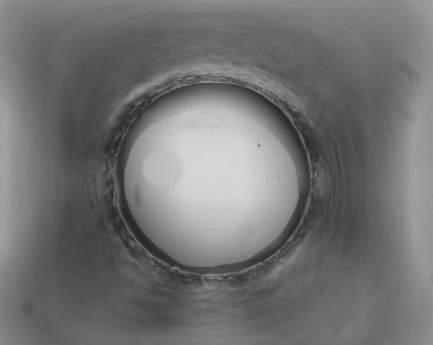 X0000114031494200910161808