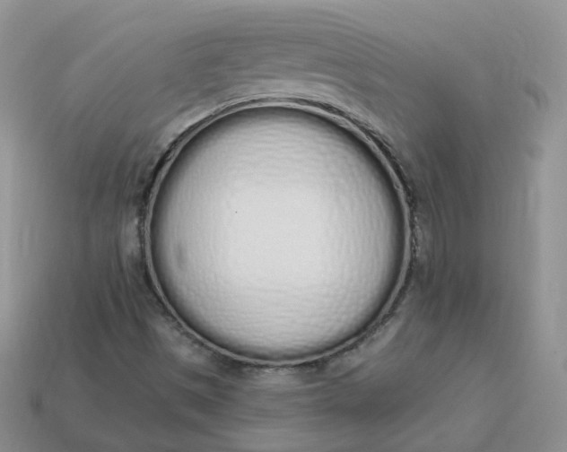 X0000114031497200910161808