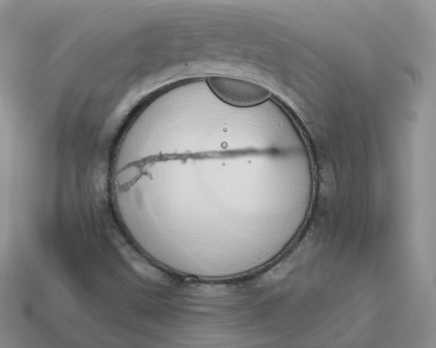 X0000114031499200910161808