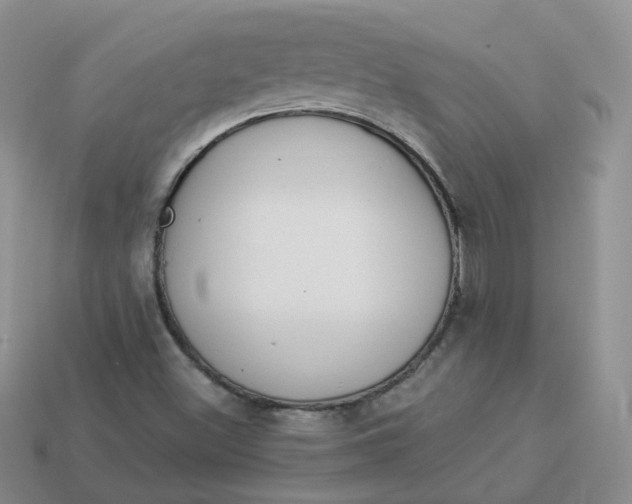 X0000114031500200910161808