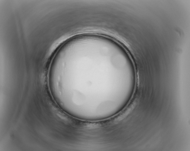 X0000114031501200910161808