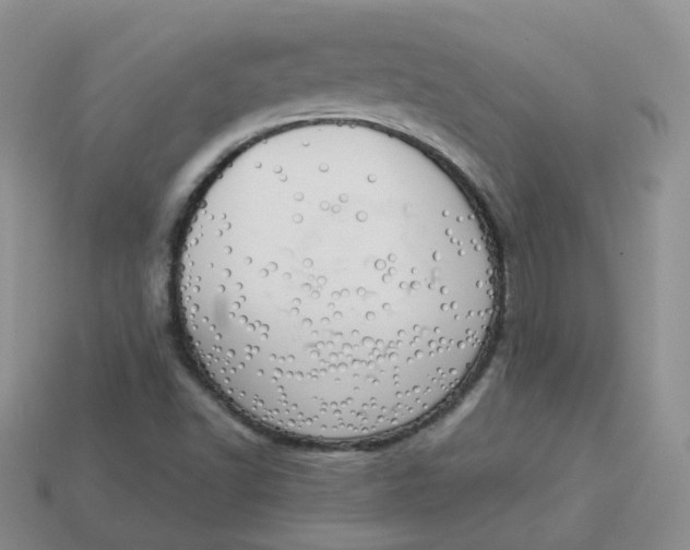 X0000114031502200910161808