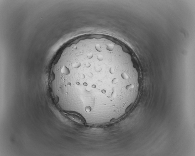 X0000114031503200910161808