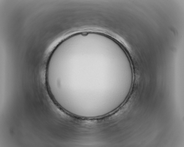 X0000114031504200910161808