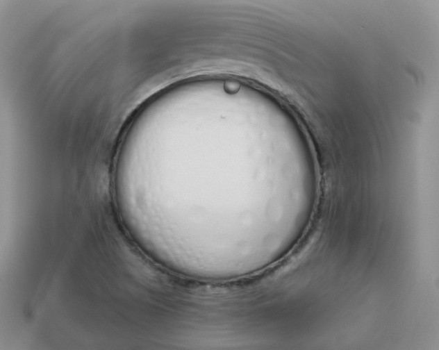 X0000114031505200910161808