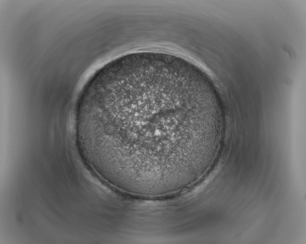 X0000114031506200910161808