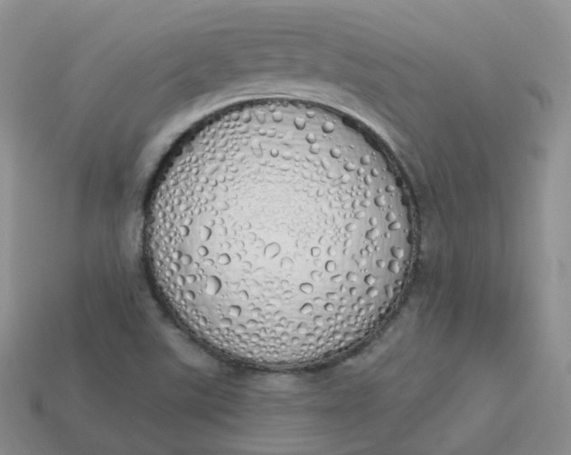 X0000114031507200910161808